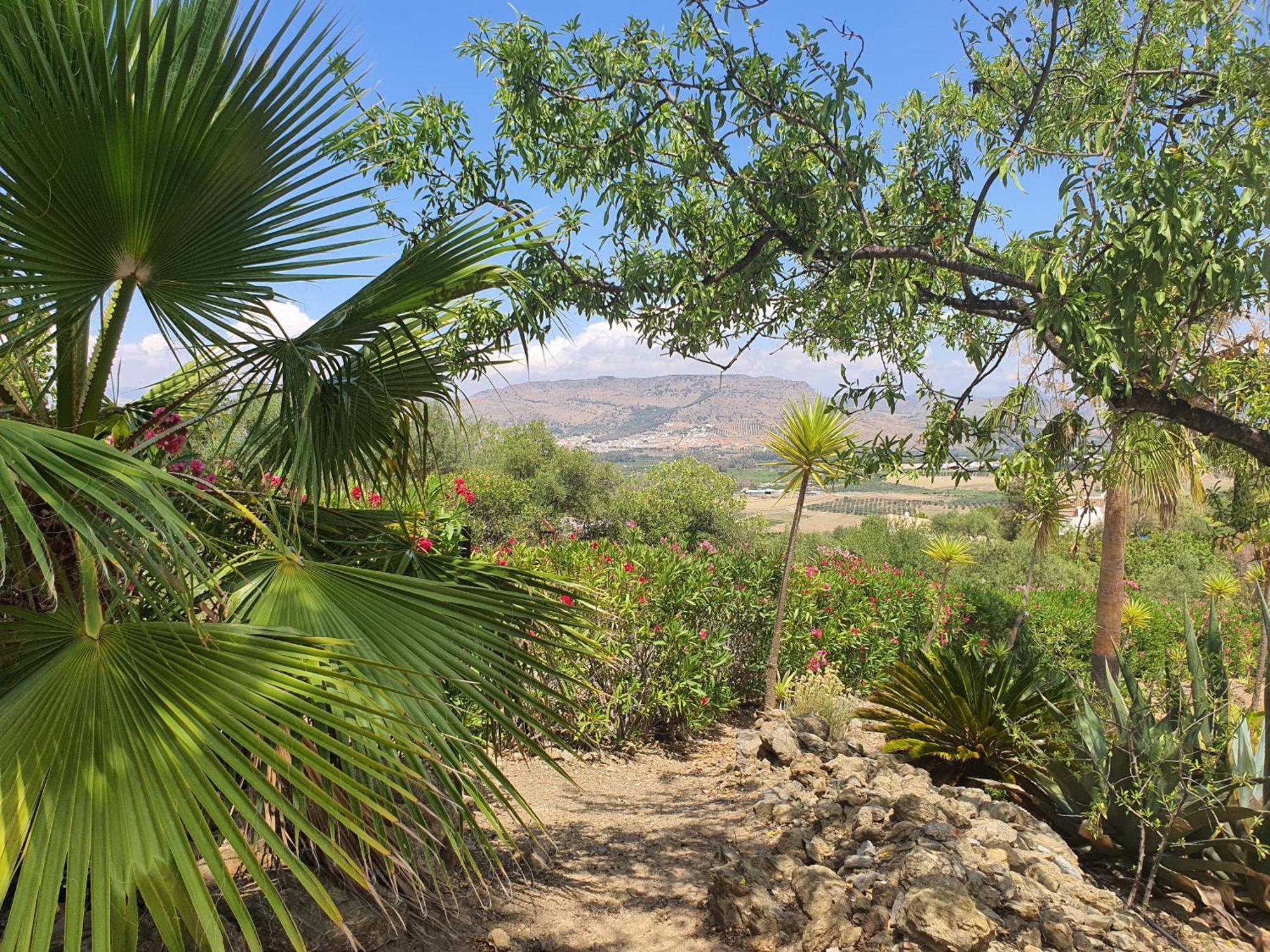 Finca Flamenco Holiday Suites Adults Only Pizarra Eksteriør billede